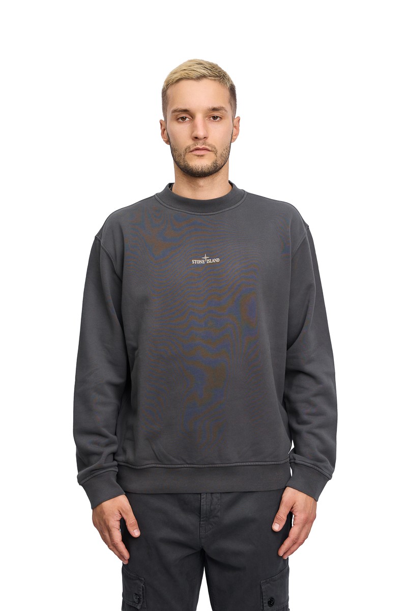 Свитшот Stone Island 21473