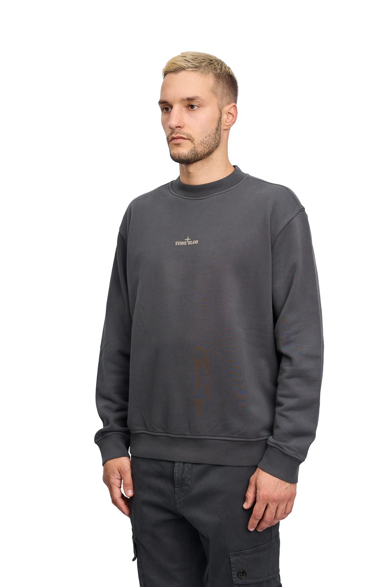 Свитшот Stone Island 21473