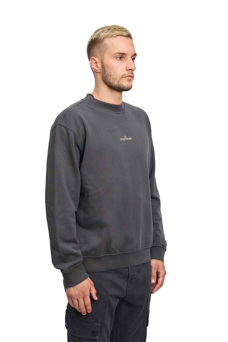Свитшот Stone Island 21473