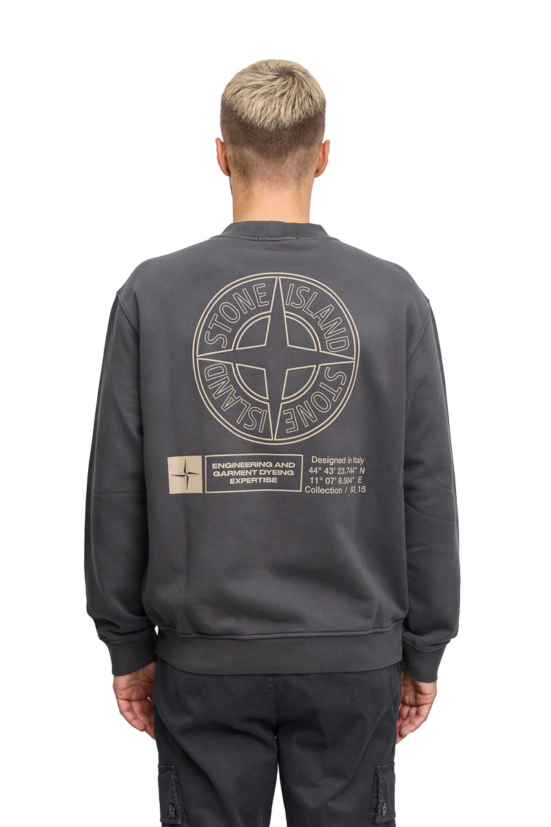 Свитшот Stone Island 21473