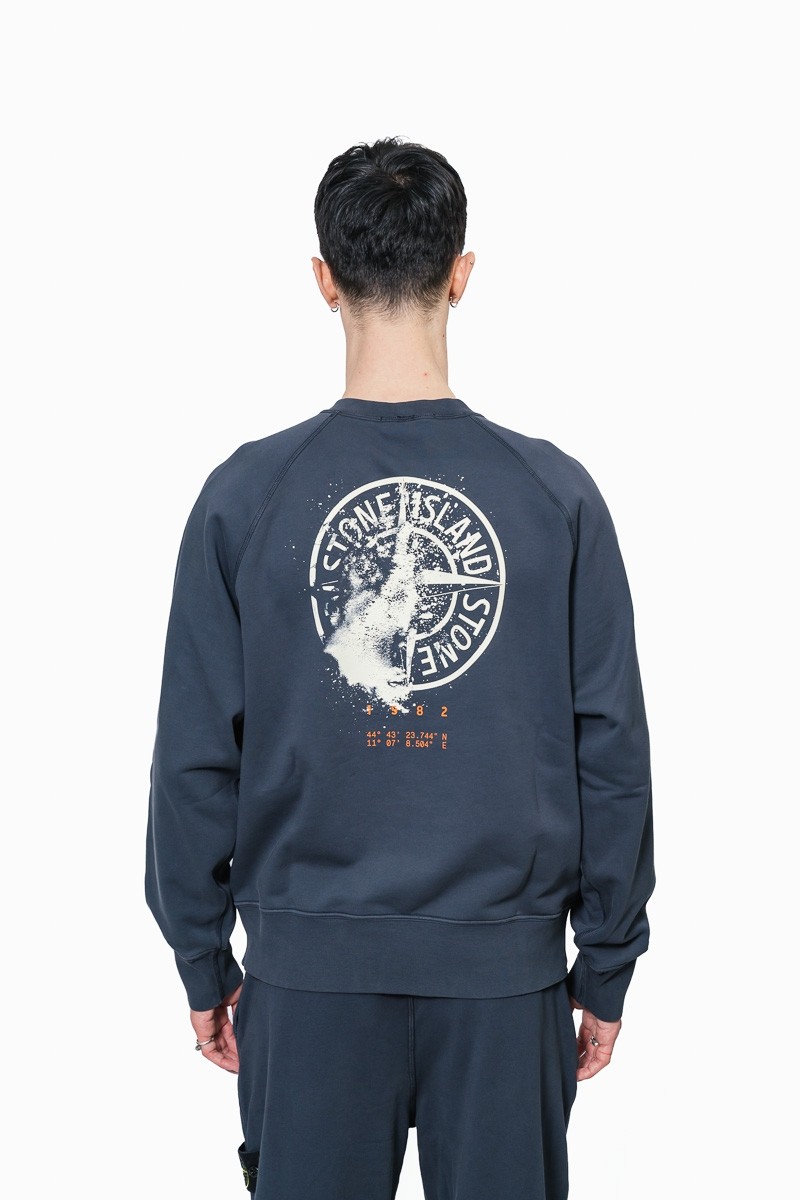 Свитшот Stone Island 22555