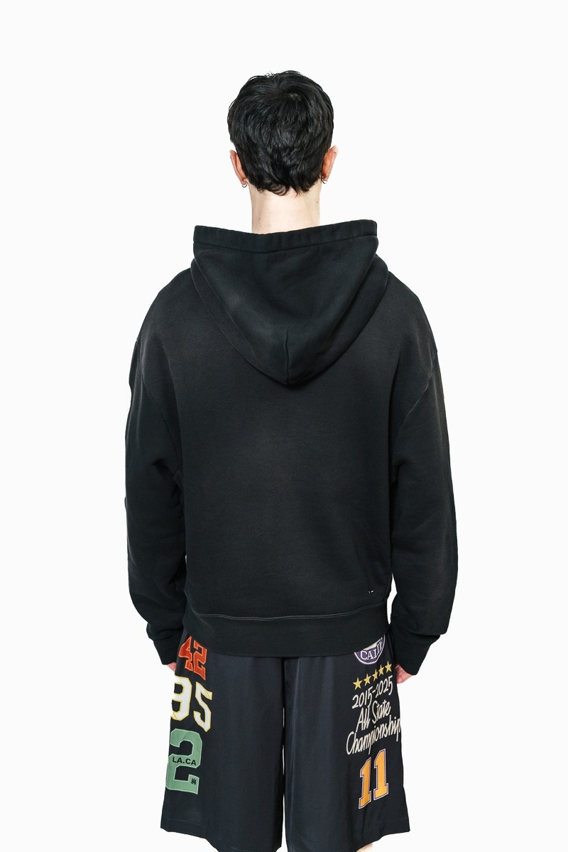 Худи AMIRI 22310