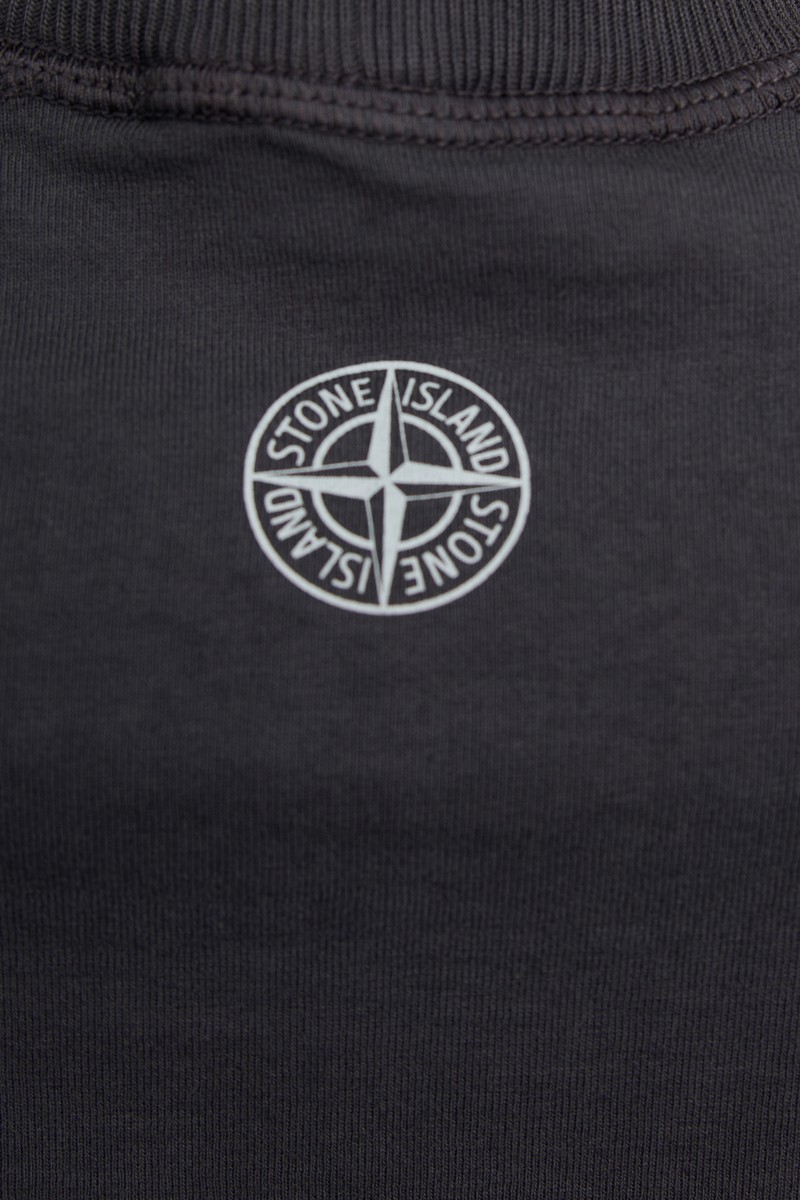 Футболка Stone Island 20817